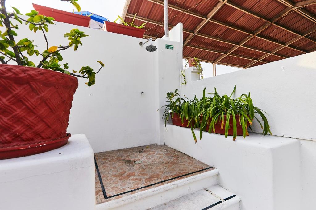 Hotel Suites Ixtapa Plaza, Hotel en Ixtapa-Zihuatanejo