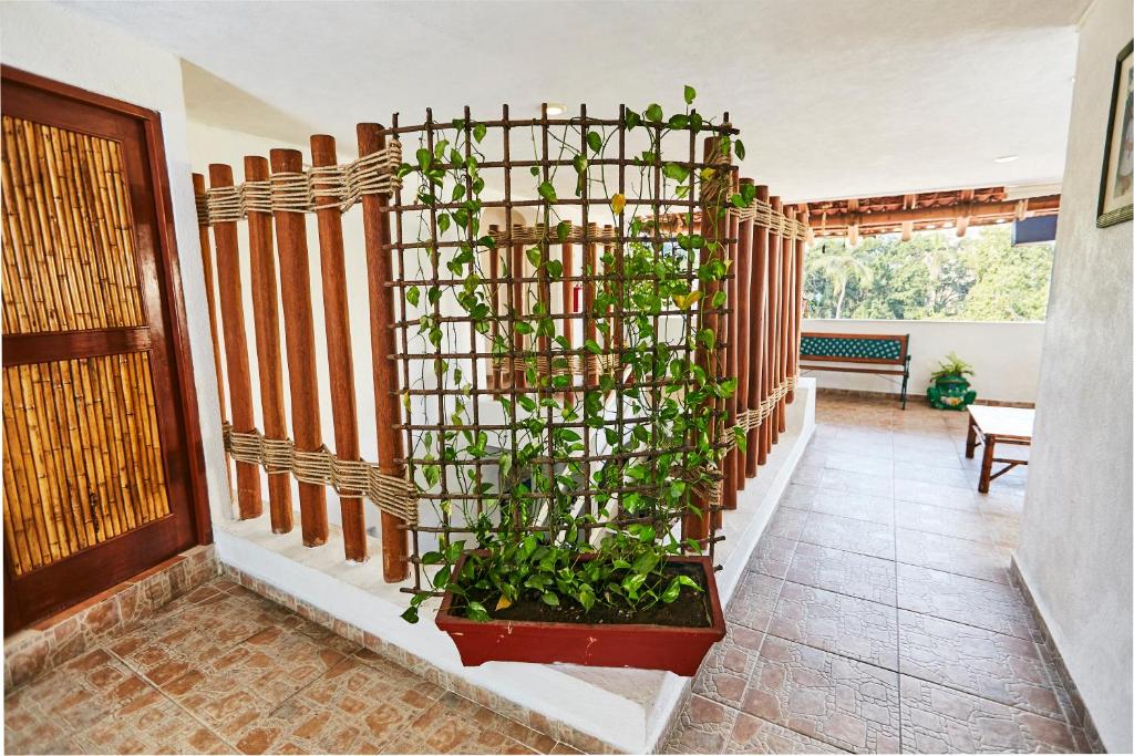 Hotel Suites Ixtapa Plaza, Hotel en Ixtapa-Zihuatanejo